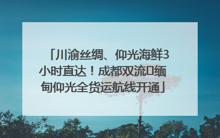 川渝丝绸、仰光海鲜3小时直达！成都双流⇌缅甸仰光全货运航线开通