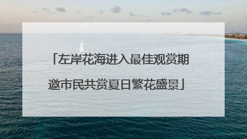 左岸花海进入最佳观赏期 邀市民共赏夏日繁花盛景