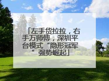 左手货拉拉，右手万师傅，深圳平台模式“隐形冠军”强势崛起