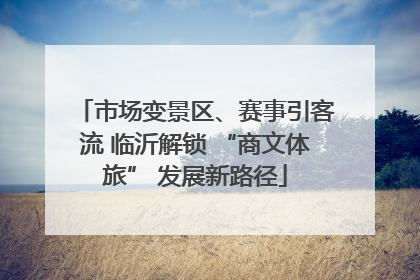 市场变景区、赛事引客流 临沂解锁 “商文体旅” 发展新路径