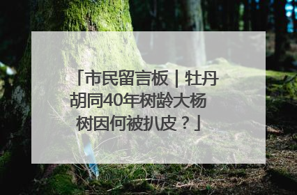 市民留言板｜牡丹胡同40年树龄大杨树因何被扒皮？