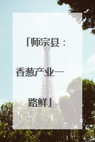 师宗县：香葱产业一路鲜