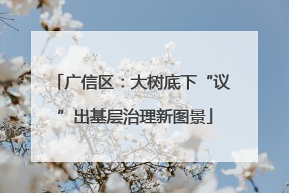 广信区：大树底下“议”出基层治理新图景