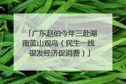 广东赵伯今年三赴湖南蓝山观鸟（民生一线·银发经济促消费）