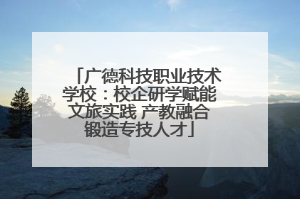 广德科技职业技术学校：校企研学赋能文旅实践 产教融合锻造专技人才