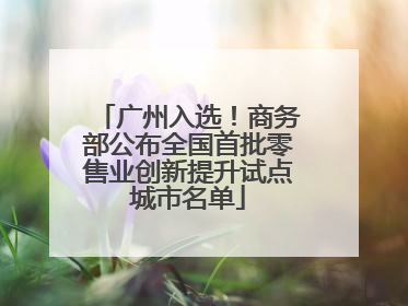 广州入选！商务部公布全国首批零售业创新提升试点城市名单