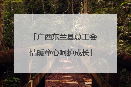 广西东兰县总工会情暖童心呵护成长