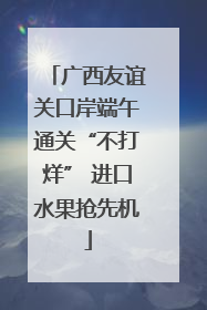 广西友谊关口岸端午通关“不打烊” 进口水果抢先机