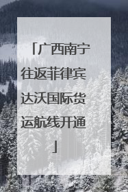 广西南宁往返菲律宾达沃国际货运航线开通