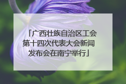 广西壮族自治区工会第十四次代表大会新闻发布会在南宁举行