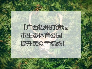 广西梧州打造城市生态体育公园 提升民众幸福感