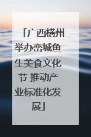 广西横州举办峦城鱼生美食文化节 推动产业标准化发展