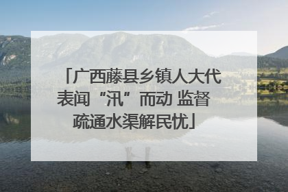 广西藤县乡镇人大代表闻“汛”而动 监督疏通水渠解民忧