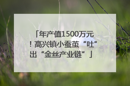 年产值1500万元！高兴镇小蚕茧“吐”出“金丝产业链”