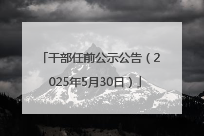 干部任前公示公告（2025年5月30日）