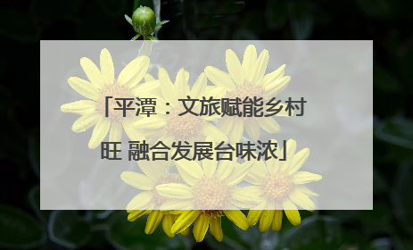 平潭：文旅赋能乡村旺 融合发展台味浓