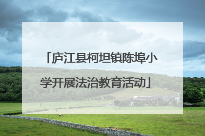 庐江县柯坦镇陈埠小学开展法治教育活动
