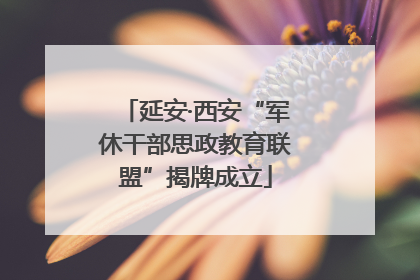 延安·西安“军休干部思政教育联盟”揭牌成立