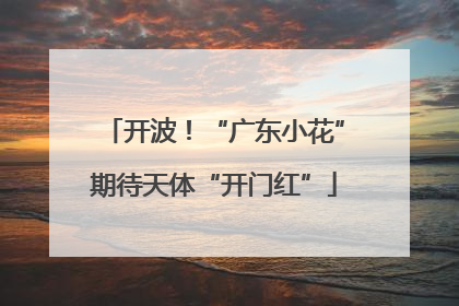 开波！“广东小花”期待天体“开门红”