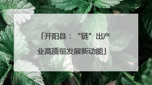 开阳县：“链”出产业高质量发展新动能