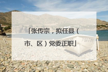 张传宗，拟任县（市、区）党委正职