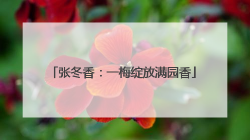 张冬香：一梅绽放满园香
