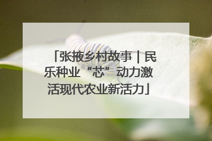 张掖乡村故事｜民乐种业“芯”动力激活现代农业新活力