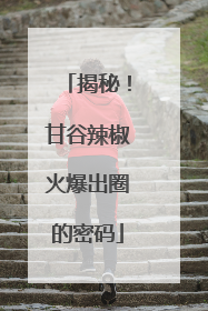 揭秘！甘谷辣椒火爆出圈的密码