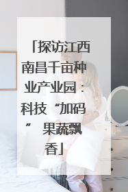 探访江西南昌千亩种业产业园：科技“加码” 果蔬飘香