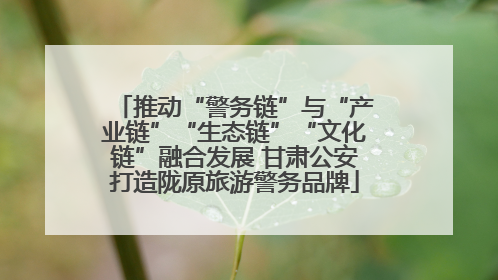 推动“警务链”与“产业链”“生态链”“文化链”融合发展 甘肃公安打造陇原旅游警务品牌