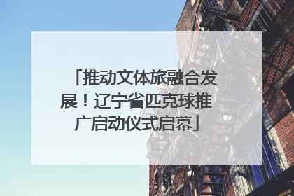 推动文体旅融合发展！辽宁省匹克球推广启动仪式启幕