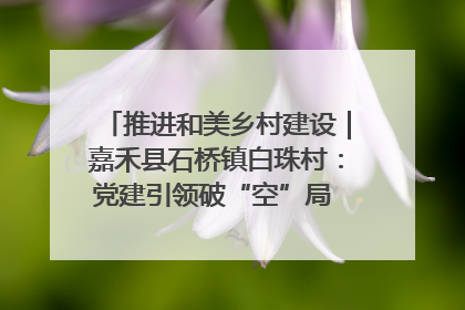 推进和美乡村建设｜嘉禾县石桥镇白珠村：党建引领破“空”局 乡贤聚力绘就新图景