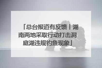 总台报道有反馈丨湖南两地采取行动打击洞庭湖违规钓鱼现象