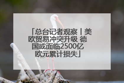总台记者观察丨美欧贸易冲突升级 德国或面临2500亿欧元累计损失
