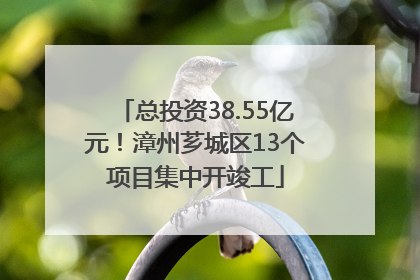 总投资38.55亿元！漳州芗城区13个项目集中开竣工