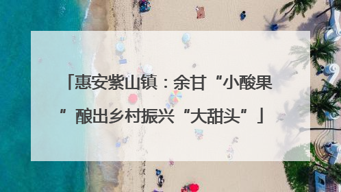 惠安紫山镇：余甘“小酸果”酿出乡村振兴“大甜头”