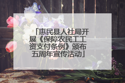 惠民县人社局开展《保障农民工工资支付条例》颁布五周年宣传活动