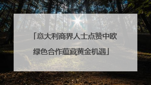 意大利商界人士点赞中欧绿色合作蕴藏黄金机遇