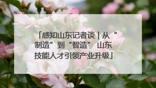 感知山东记者谈｜从“制造”到“智造” 山东技能人才引领产业升级