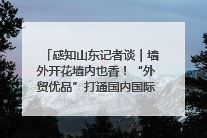 感知山东记者谈｜墙外开花墙内也香！“外贸优品”打通国内国际市场“旋转门”