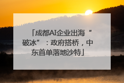 成都AI企业出海“破冰”：政府搭桥，中东首单落地沙特