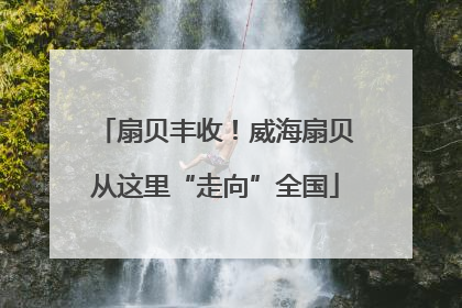 扇贝丰收！威海扇贝从这里“走向”全国