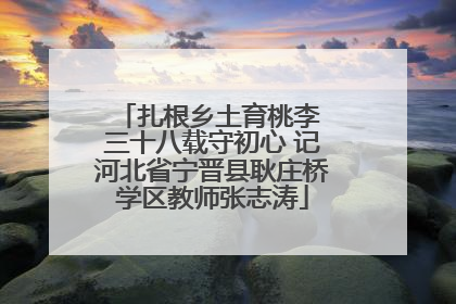 扎根乡土育桃李 三十八载守初心 记河北省宁晋县耿庄桥学区教师张志涛