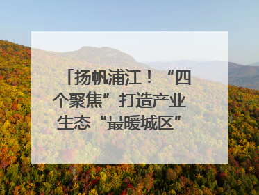扬帆浦江！“四个聚焦”打造产业生态“最暖城区”｜相约复兴岛