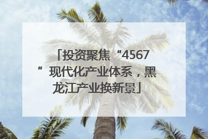 投资聚焦“4567”现代化产业体系，黑龙江产业换新景