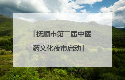 抚顺市第二届中医药文化夜市启动