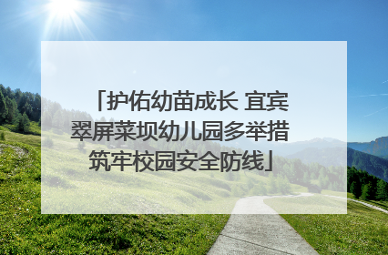 护佑幼苗成长 宜宾翠屏菜坝幼儿园多举措筑牢校园安全防线