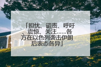 担忧、谴责、呼吁、震惊、关注……各方在以色列袭击伊朗后表态各异