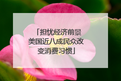 担忧经济前景 美国近八成民众改变消费习惯