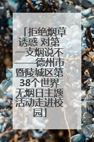拒绝烟草诱惑 对第一支烟说不——德州市暨陵城区第38个世界无烟日主题活动走进校园